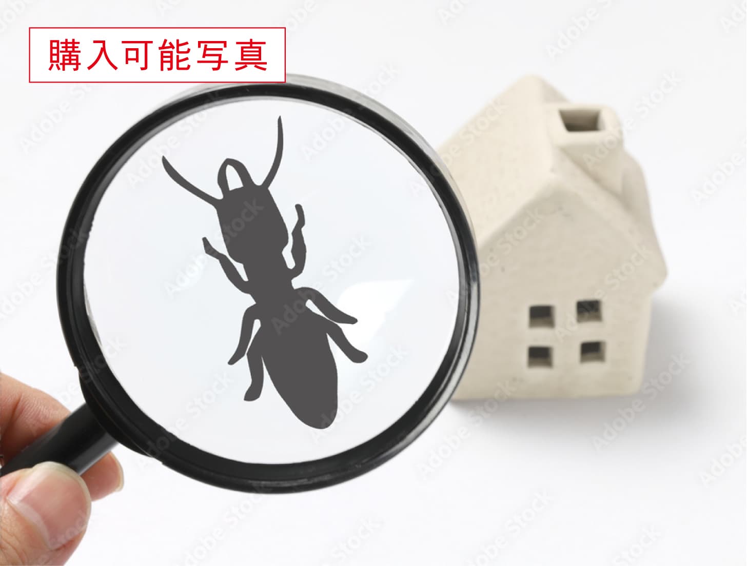 シロアリの発生要因を除去